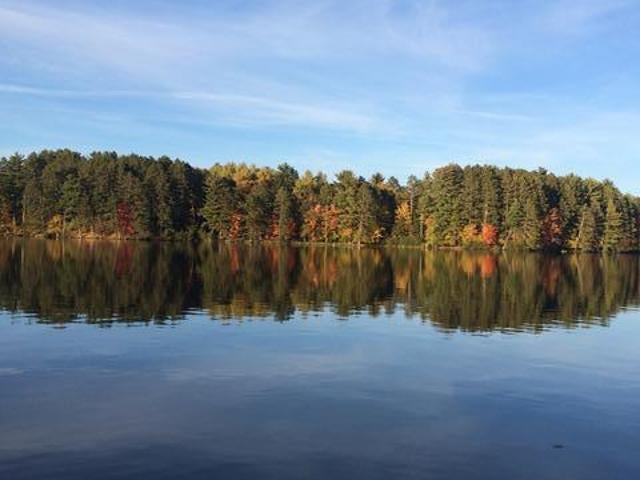 Tbd Trails End Road Rhinelander, WI 54501 - Photo 1 of 7 Gallery Image 1
