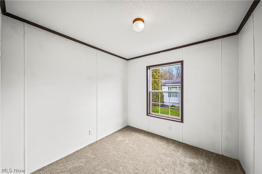 3651 Austin Road, Unit N28 Geneva, OH 44041 - Photo 23 of 30 Spare room with light carpet, ornamental molding, and a textured ceiling