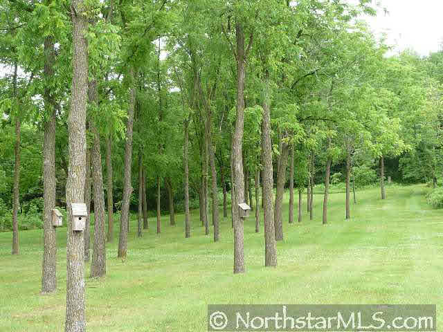 W10098 Sand Ridge Road Pepin, WI 54759 - Photo 3 of 10 Gallery Image 3