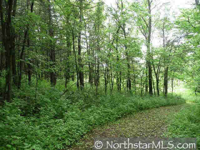 W10098 Sand Ridge Road Pepin, WI 54759 - Photo 9 of 10 Gallery Image 9