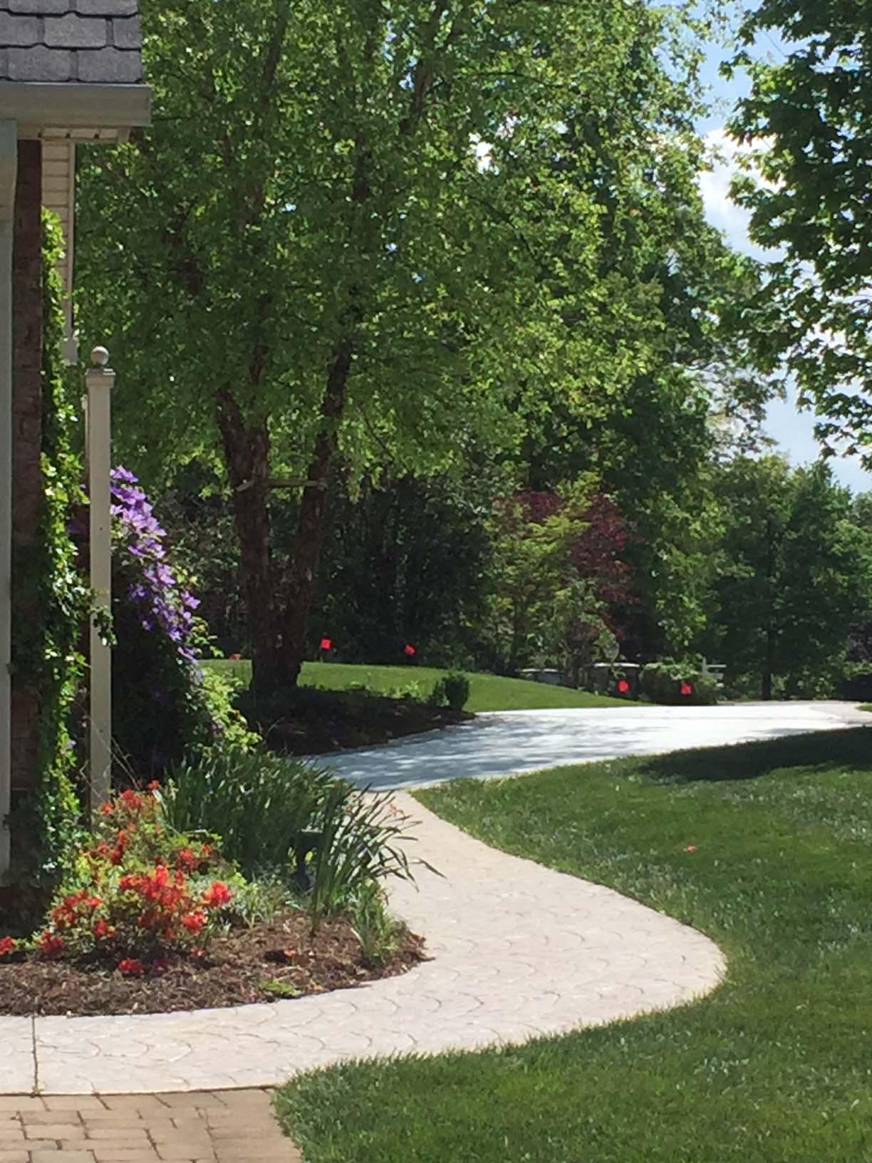 78 Rte 1431 Moneta, VA 24121 - Photo 15 of 53 pic wagner walkway