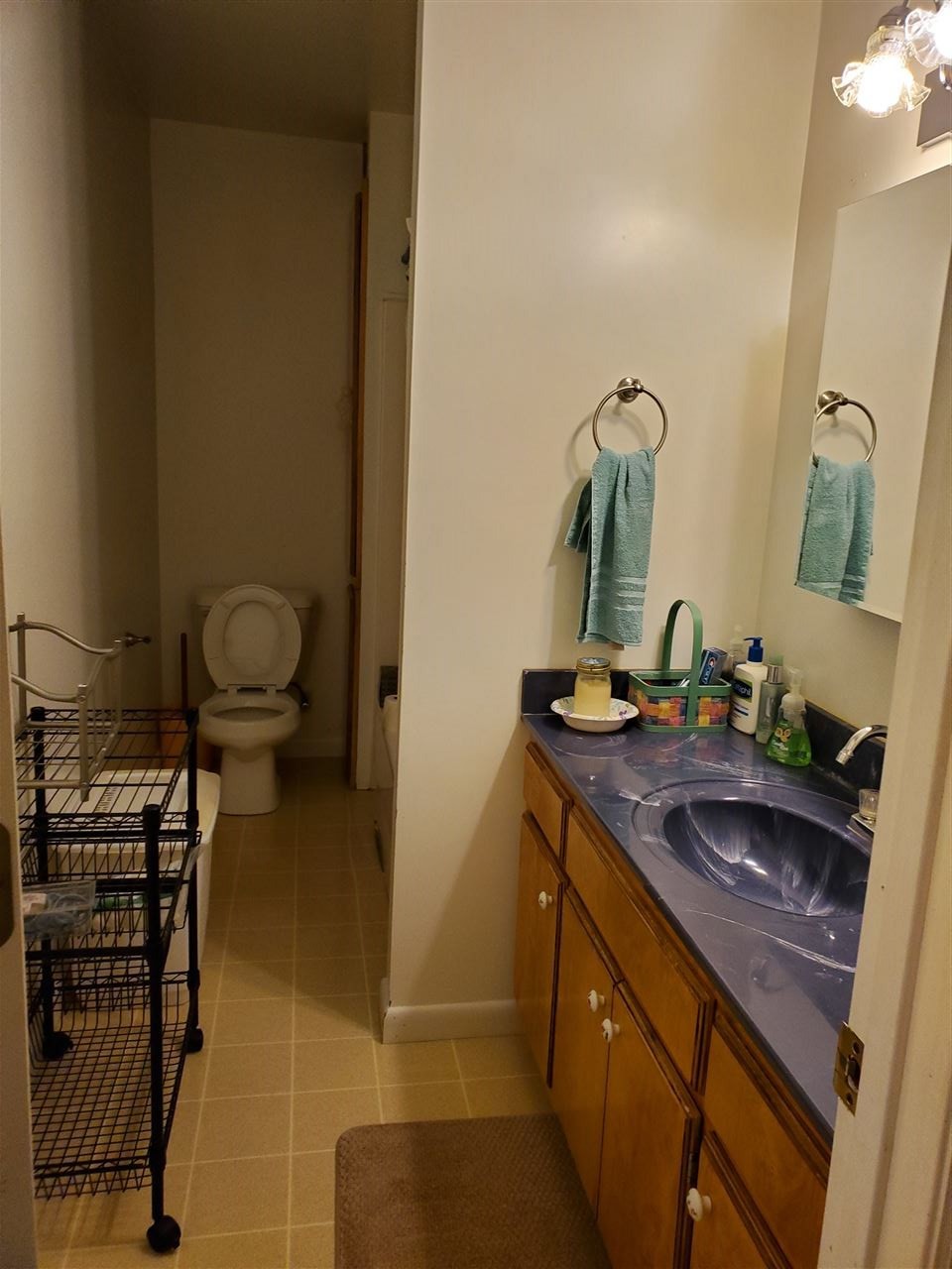 1627 Strawhill Road Southeast Cleveland, TN 37323 - Photo 35 of 48 a bathroom with a sink and a mirror