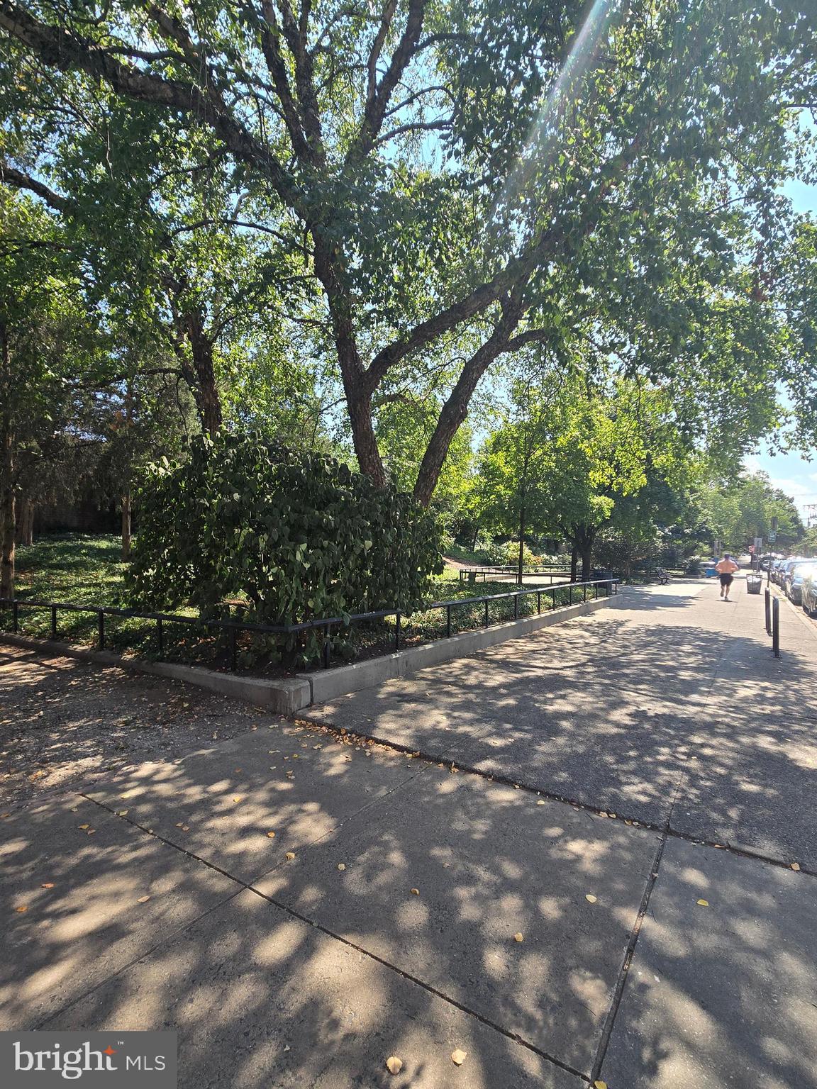 793 South Front Street Philadelphia, PA 19147 - Photo 28 of 32 a view of outdoor space with trees