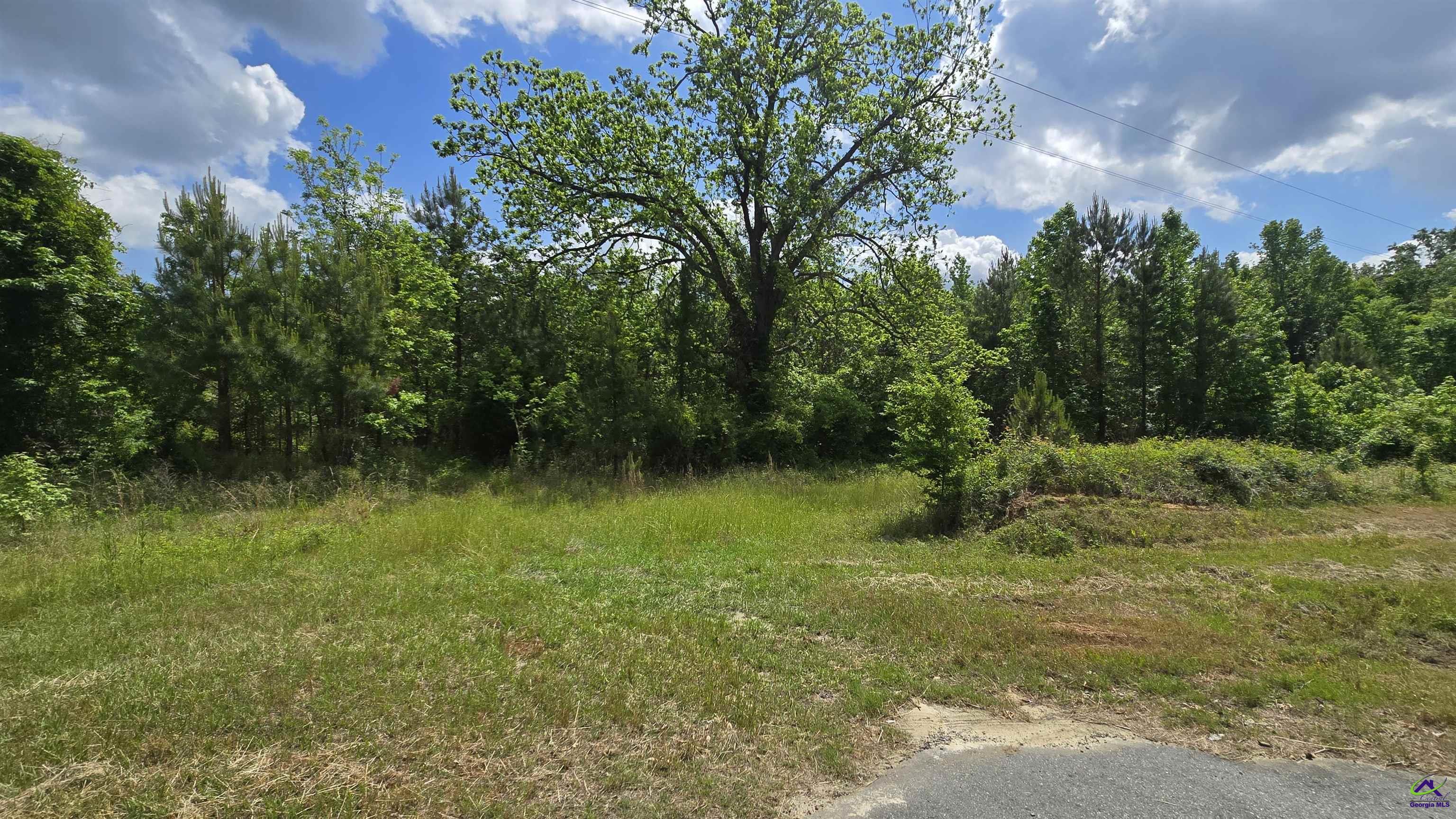 0 South S Highway Dublin, GA 31021 - Photo 5 of 13 a view of a garden