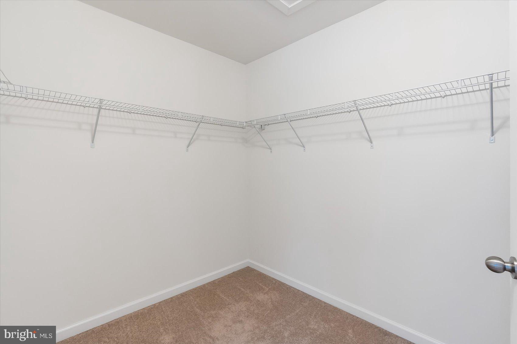 7831 Rappaport Drive Jessup, MD 20794 - Photo 30 of 53 Walk-In Closet