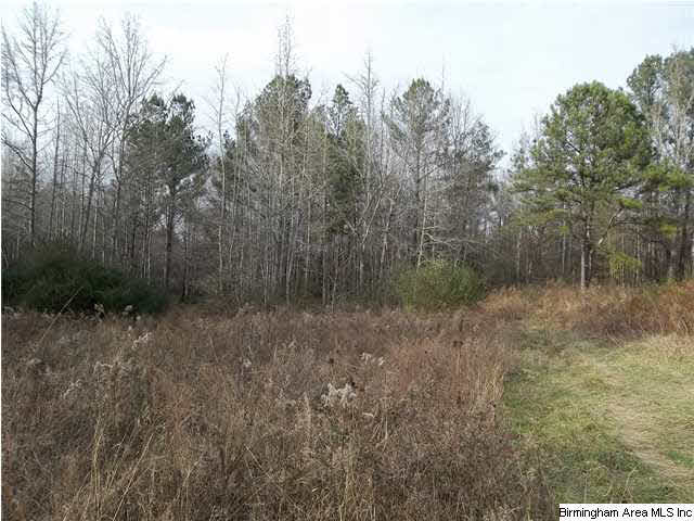 Turkey Pen Road, Unit 1 Cragford, AL 36255 - Photo 3 of 6