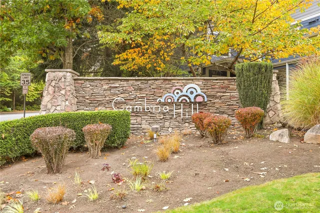a view of a yard with plants