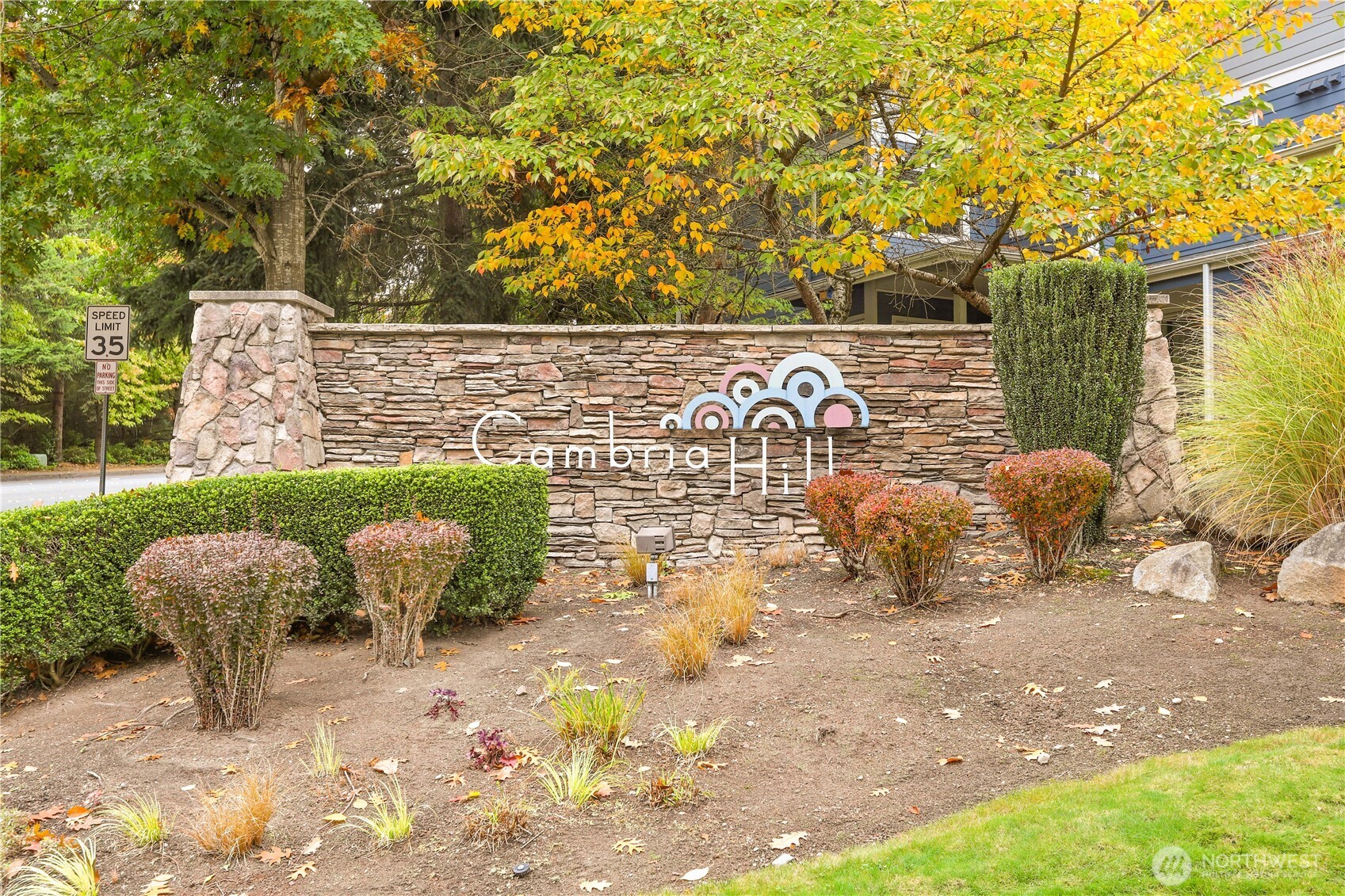 3906 243rd Place Southeast, Unit P202 Bothell, WA 98021 - Photo 16 of 17 a view of a yard with plants