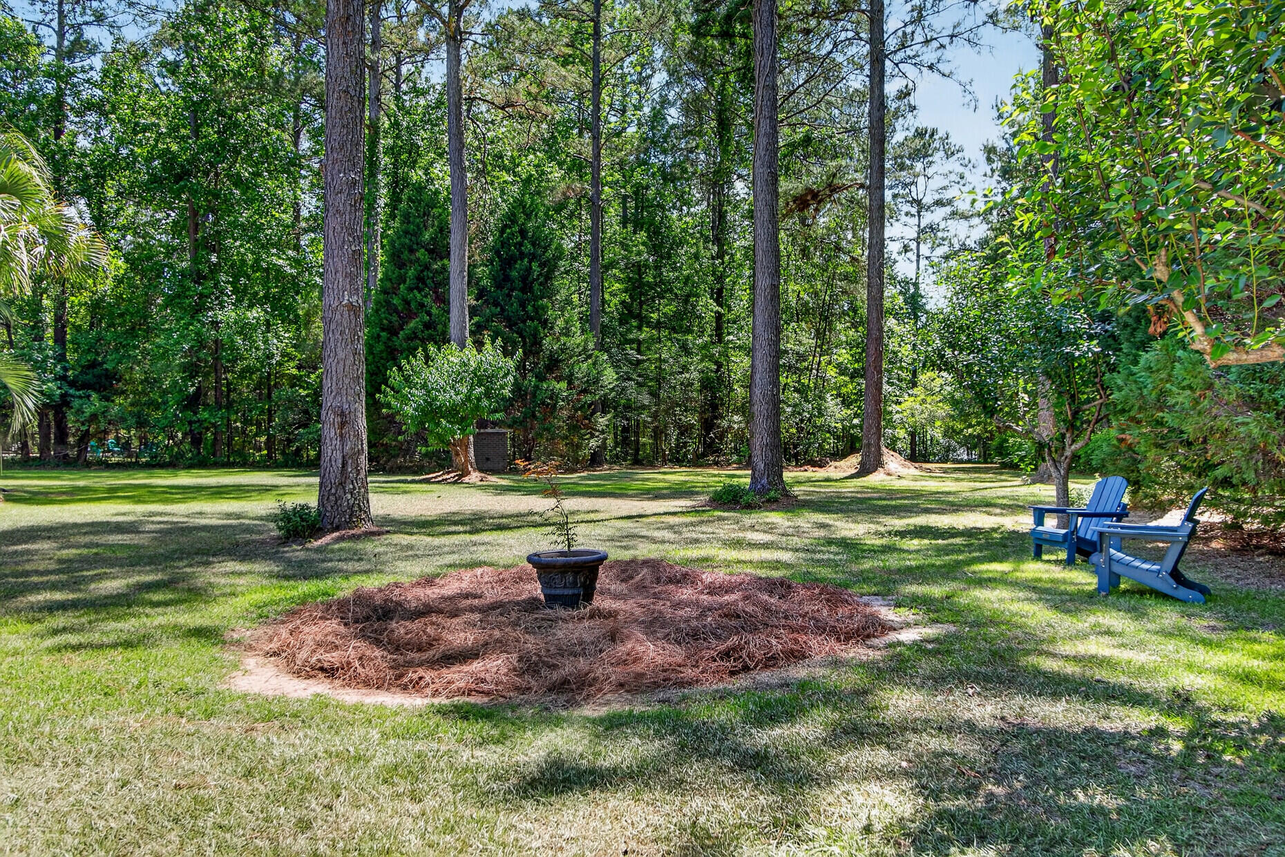 105 Satling Court Ridgeville, SC 29472 - Photo 55 of 73 29___29_mls