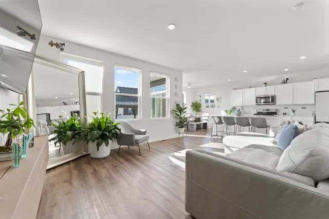 a living room with furniture or wooden floor and a potted plant