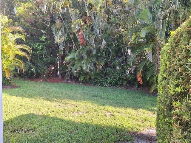 a view of a yard with a tree