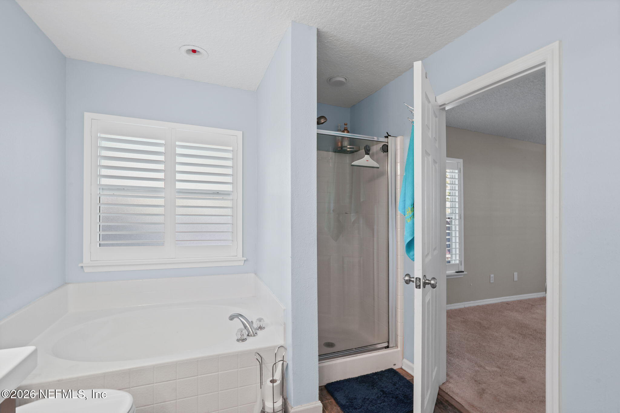 790 Hibernia Road Fleming Island, FL 32003 - Photo 44 of 66 Primary Bath Photo 2