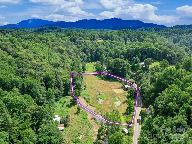 a view of a forest with a lush green forest