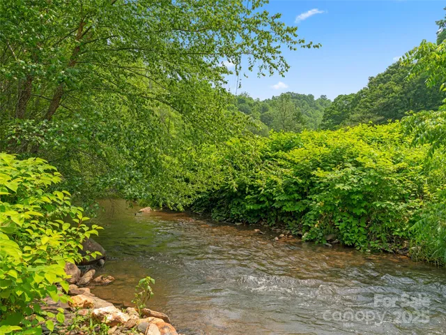 a view of a lake with a tree