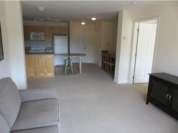287 Mascoma Street, Unit 208 Lebanon, NH 03766 - Photo 3 of 32 Gallery Image 3