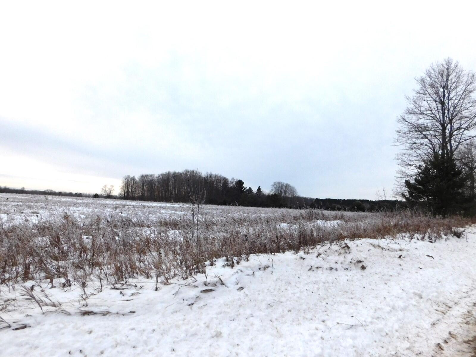 West Marker Road Grayling, MI 49738 - Photo 12 of 16 Gallery Image 12