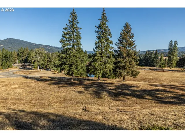 a view of a yard with a tree