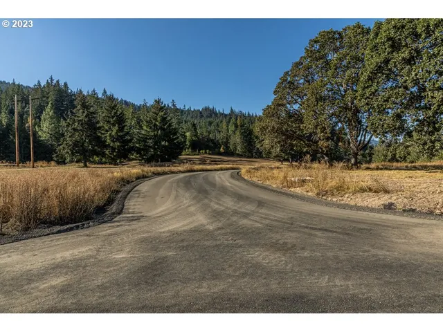 a view of a yard with trees