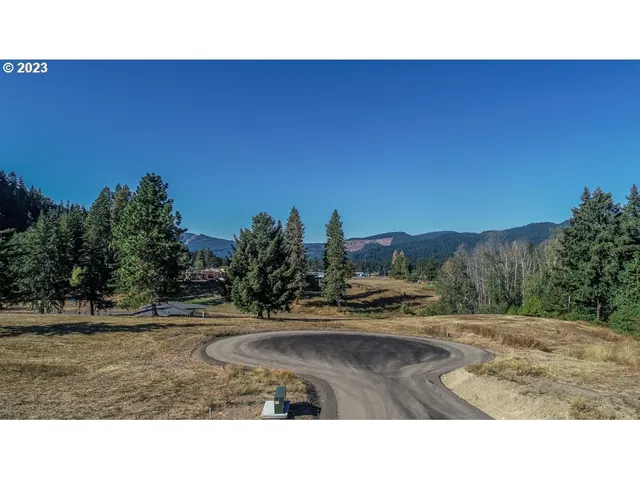 a black and white photo of a field
