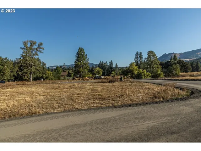 a view of a dry yard with wooden fence