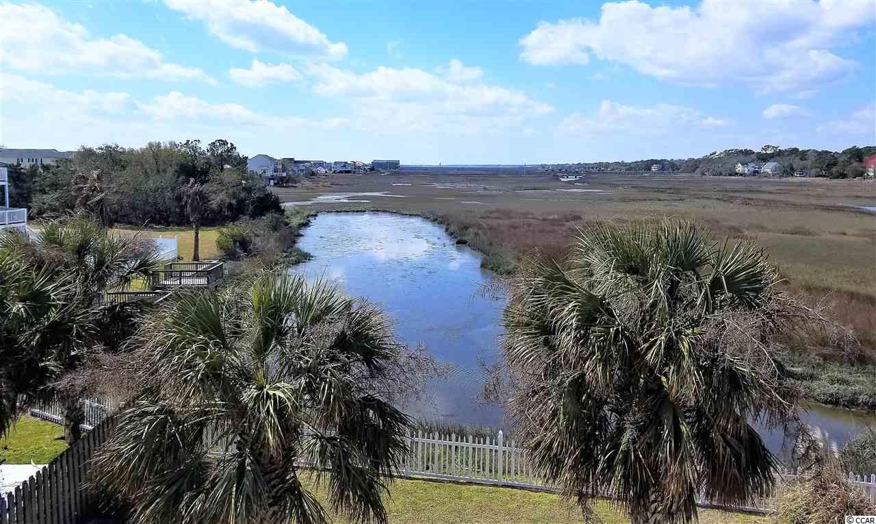 217 Seabreeze Drive Murrells Inlet, SC 29576 - Photo 3 of 31 Gallery Image 3
