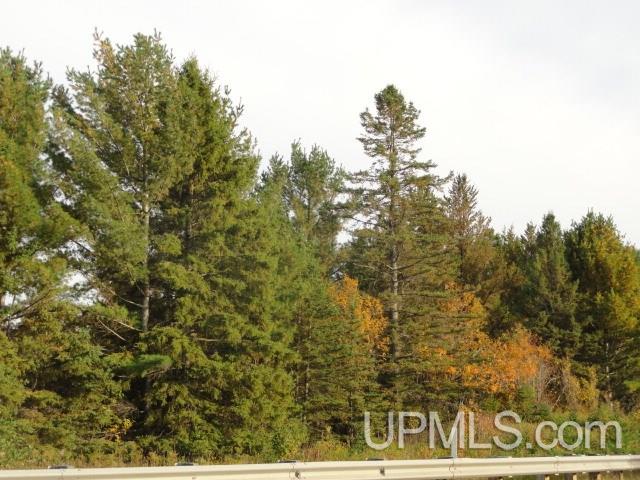 14966 2 Mile Road Bruce Crossing, MI 49912 - Photo 21 of 24