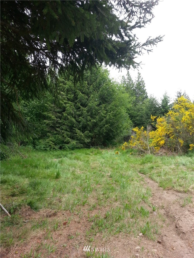 157 Lawrence Road Port Angeles, WA 98363 - Photo 1 of 2 Gallery Image 1