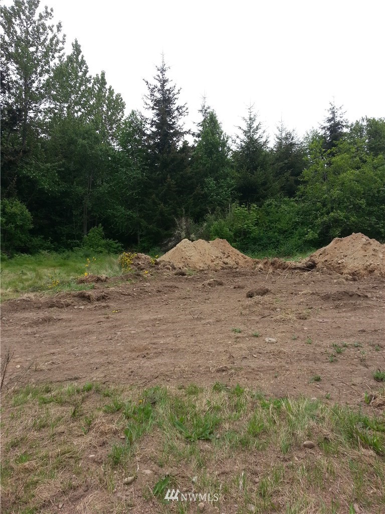157 Lawrence Road Port Angeles, WA 98363 - Photo 2 of 2 Gallery Image 2
