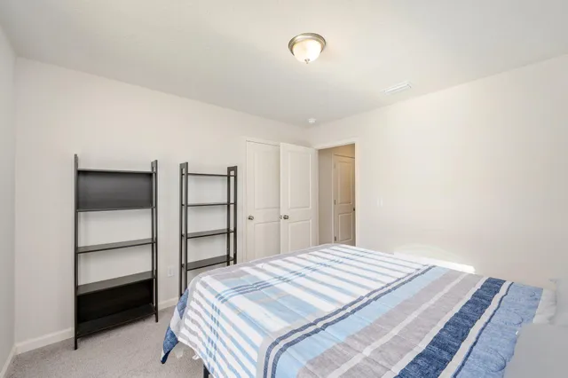 a bedroom with a bed and a closet