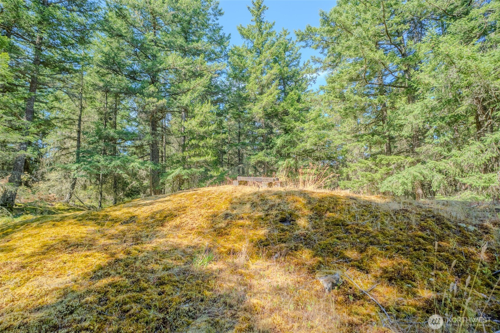 678 Swan Road Orcas Island, WA 98245 - Photo 13 of 39