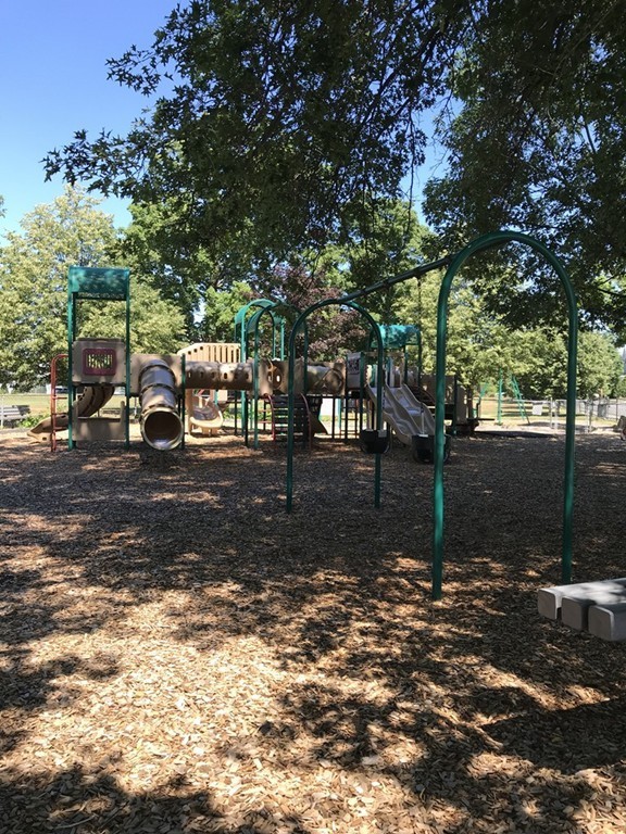58 Webster Street, Unit 58 Newton, MA 02465 - Photo 28 of 28 a backyard of a house with lots of green space
