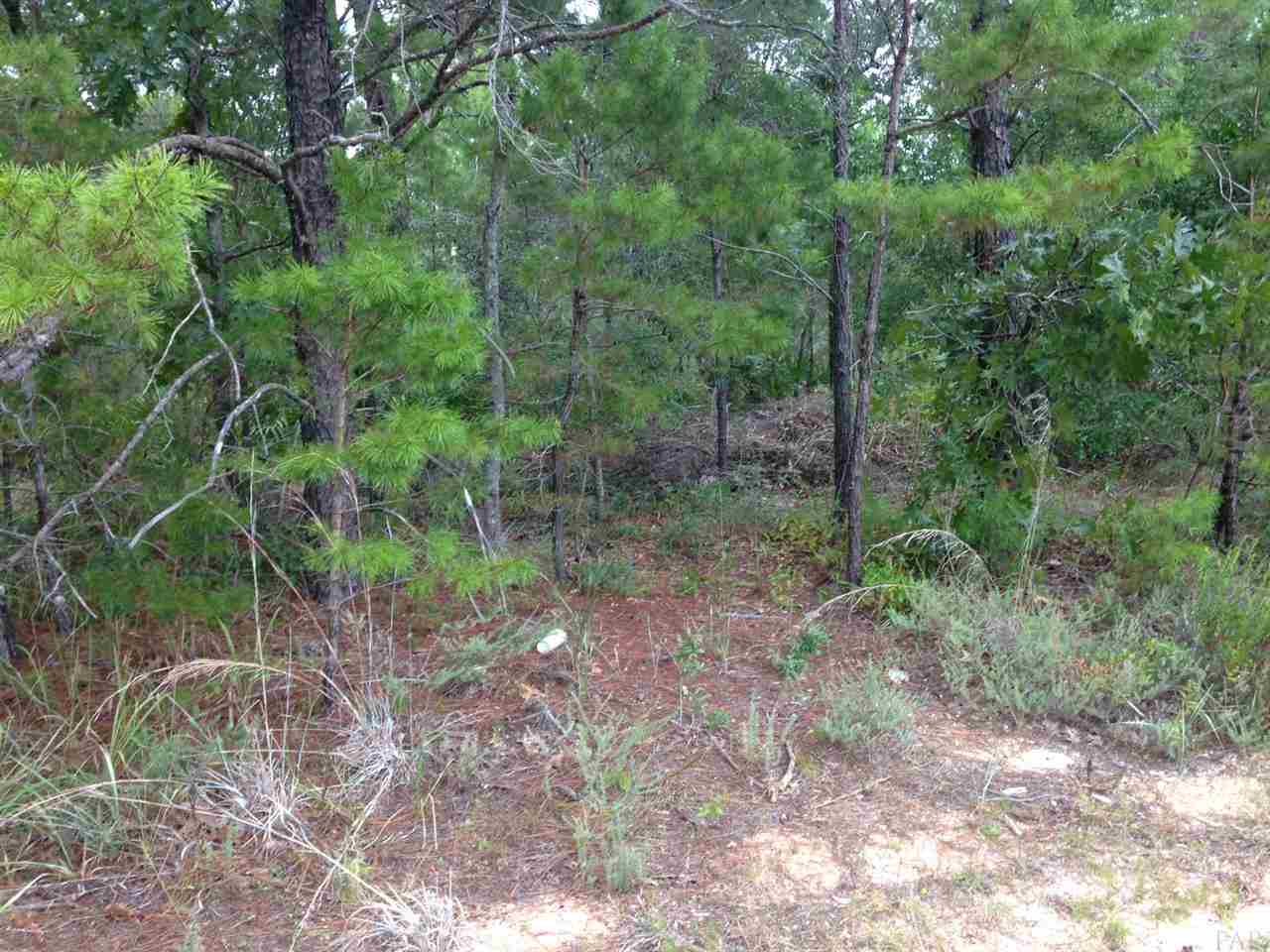 Lot 1 Quail Run Road Gulf Breeze, FL 32563 - Photo 4 of 10 Gallery Image 4