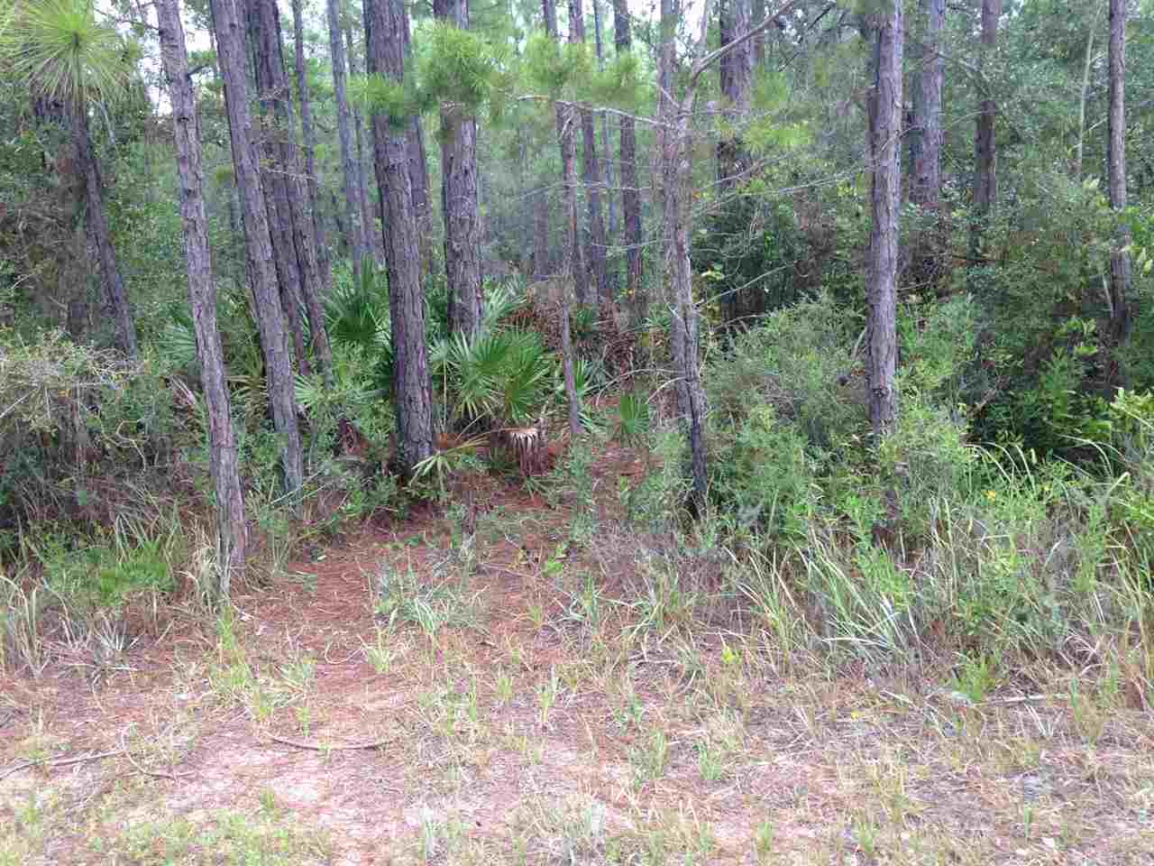Lot 1 Quail Run Road Gulf Breeze, FL 32563 - Photo 5 of 10 Gallery Image 5