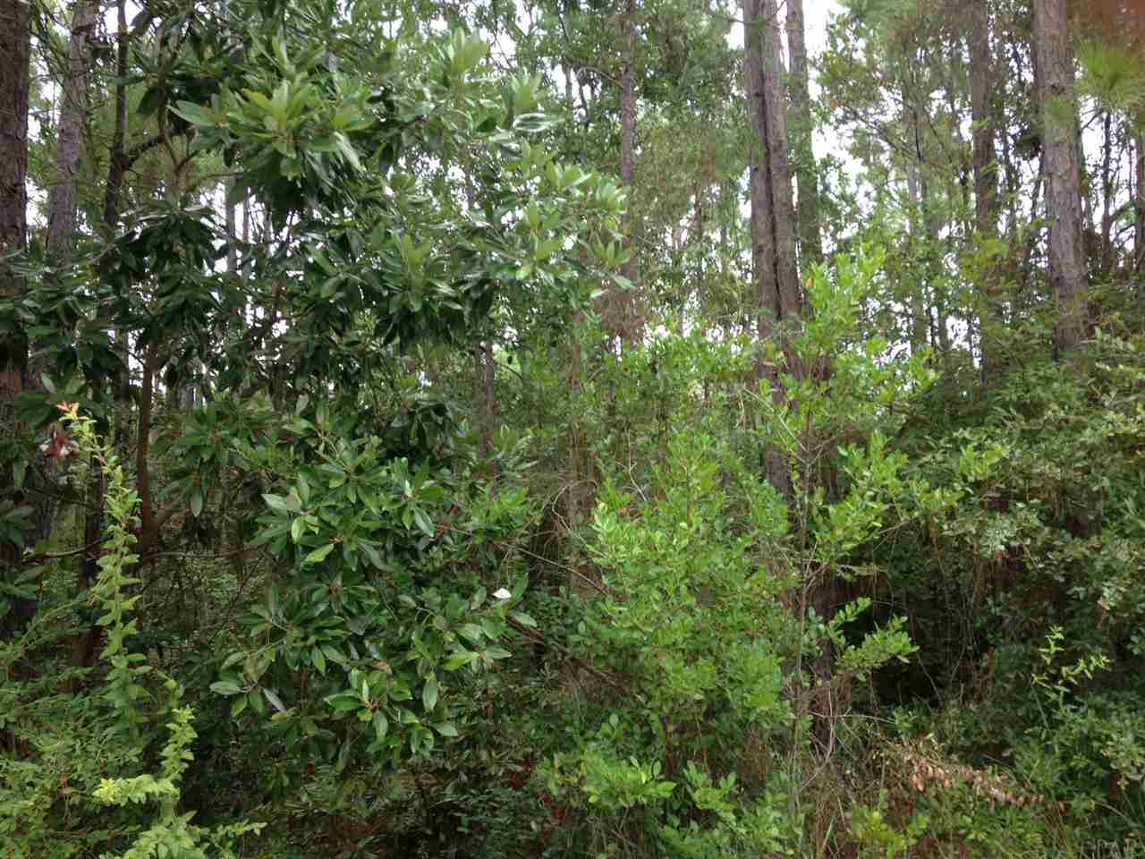 Lot 1 Quail Run Road Gulf Breeze, FL 32563 - Photo 7 of 10 Gallery Image 7