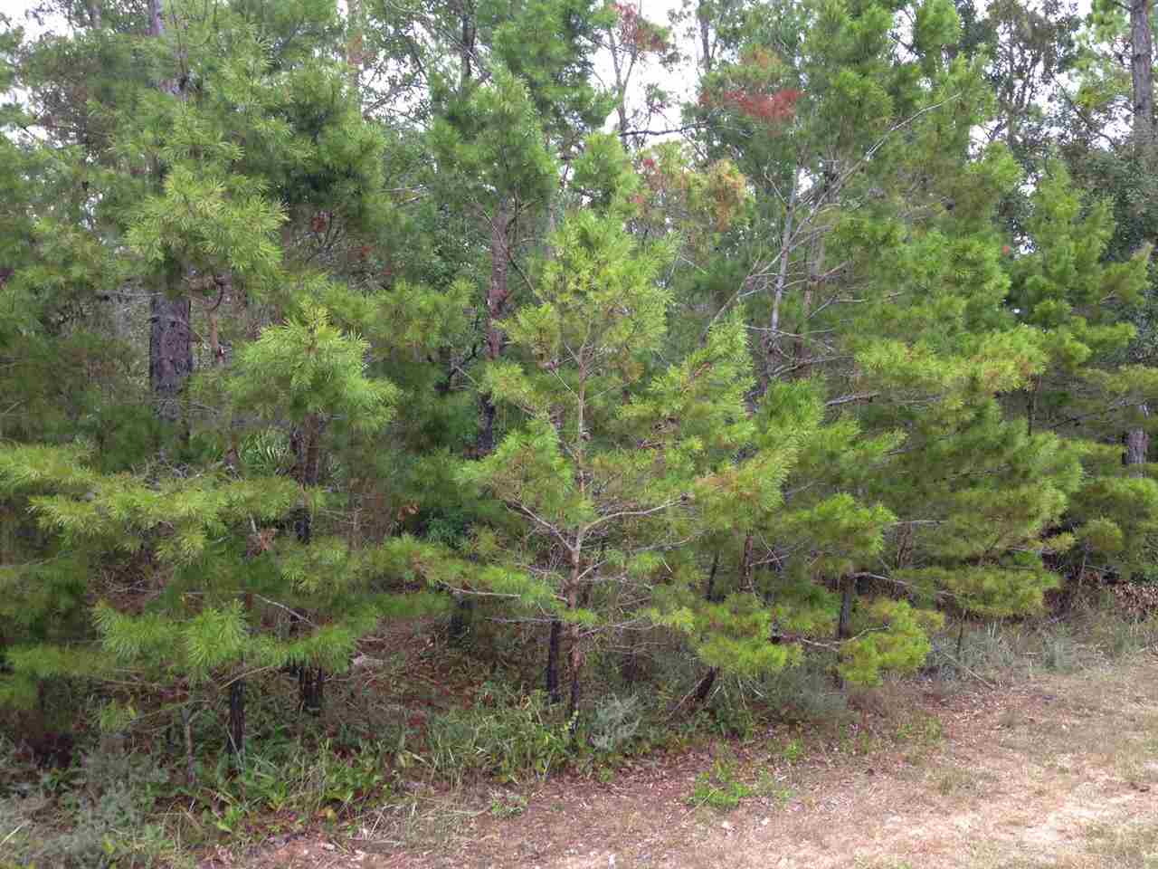 Lot 1 Quail Run Road Gulf Breeze, FL 32563 - Photo 9 of 10 Gallery Image 9