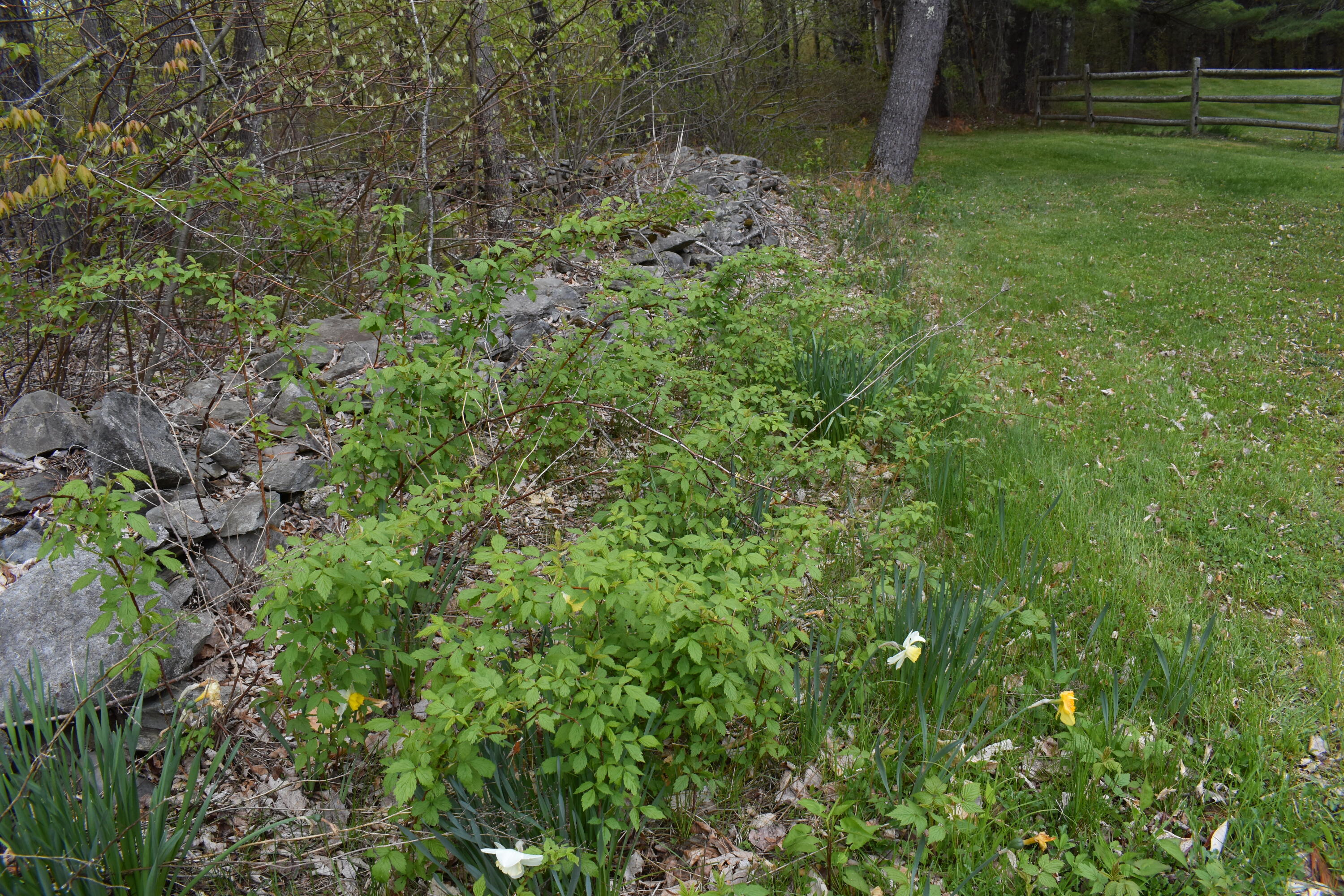 1436 Carmel Road North Hampden, ME 04444 - Photo 31 of 37 DSC_0129