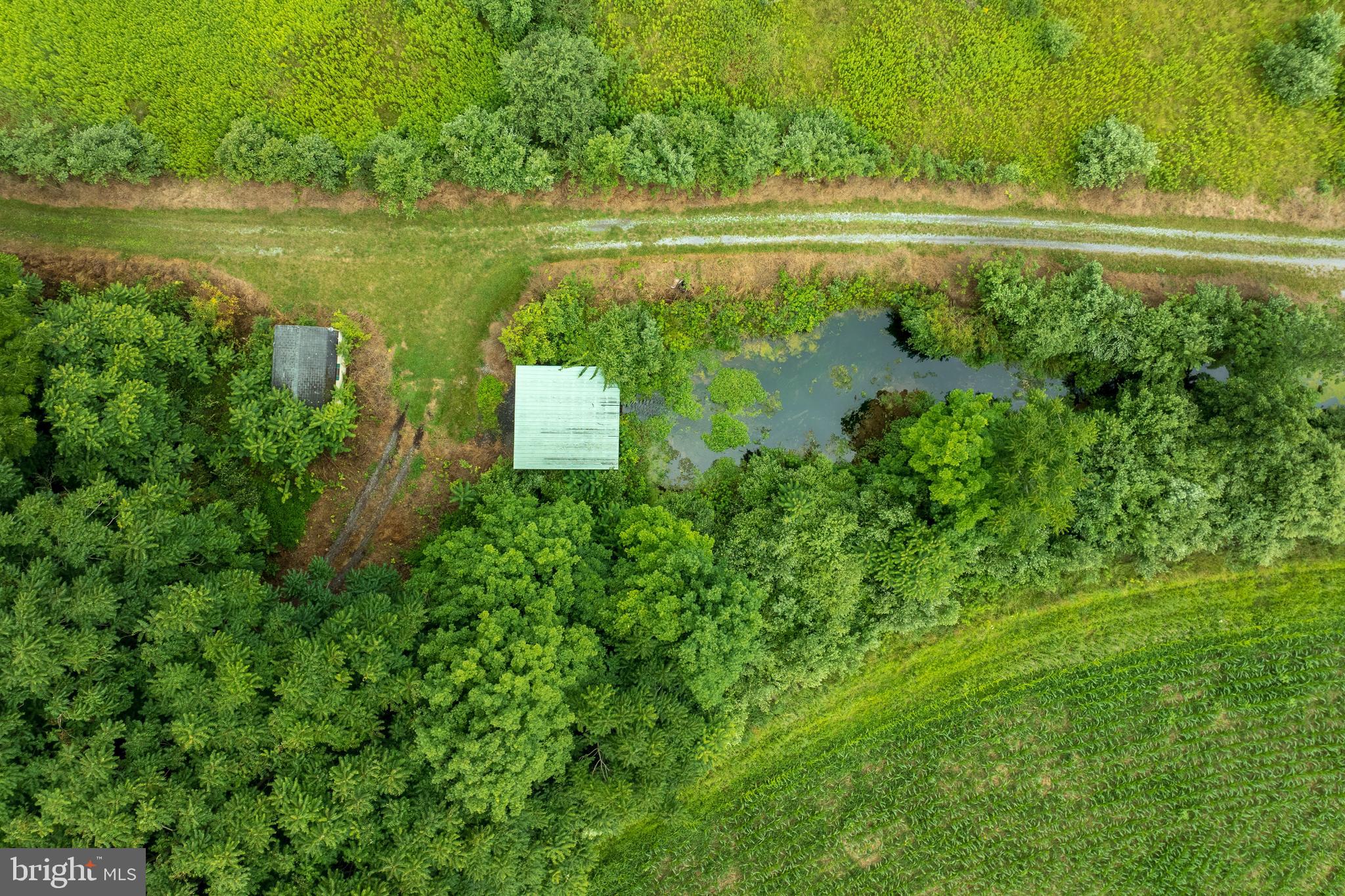0 Hublersburg Road, Unit ENTIRETY Bellefonte, PA 16823 - Photo 15 of 58 a view of a lake with a big yard and large trees
