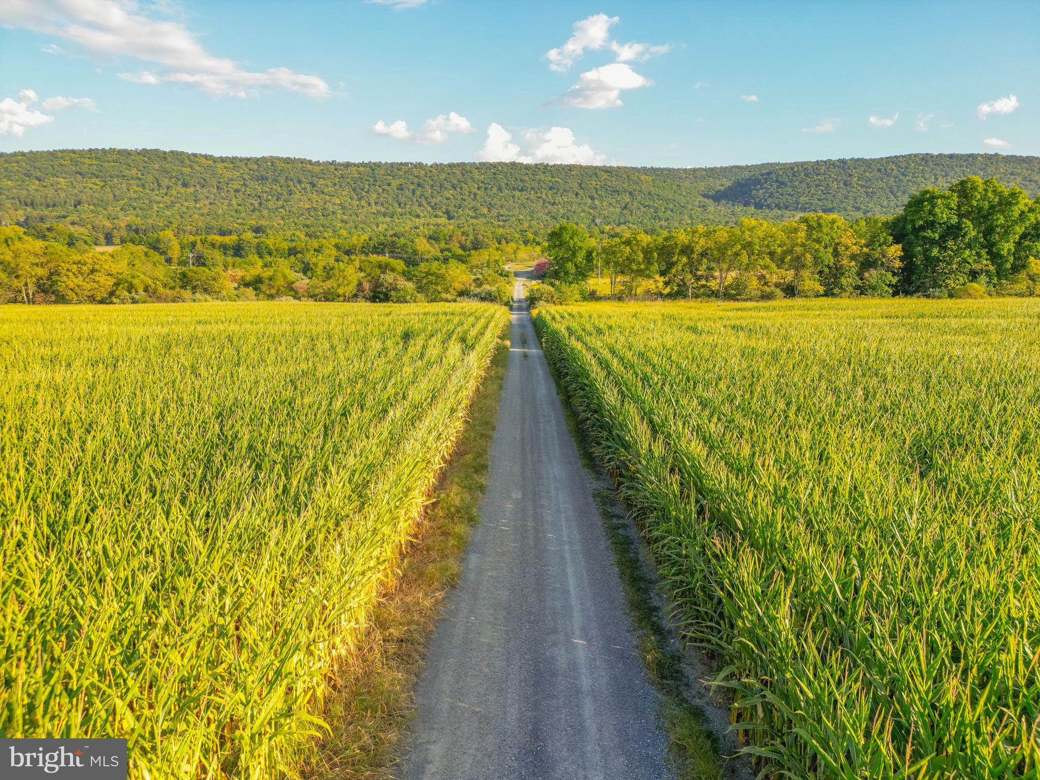 0 Hublersburg Road, Unit ENTIRETY Bellefonte, PA 16823 - Photo 23 of 58 a view of an ocean from a balcony