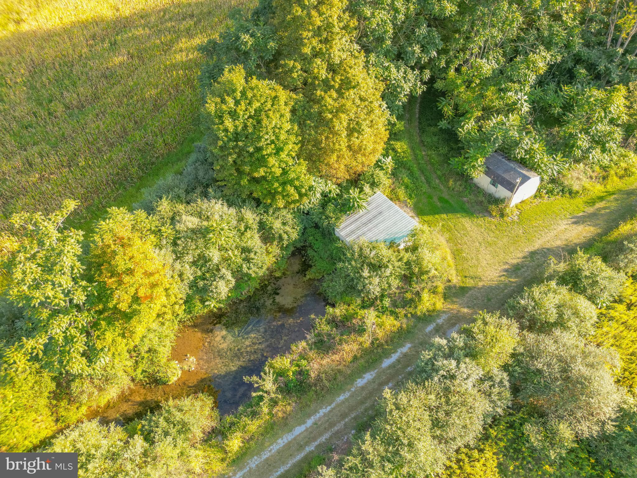 0 Hublersburg Road, Unit ENTIRETY Bellefonte, PA 16823 - Photo 27 of 58 a view of a yard with flower plants