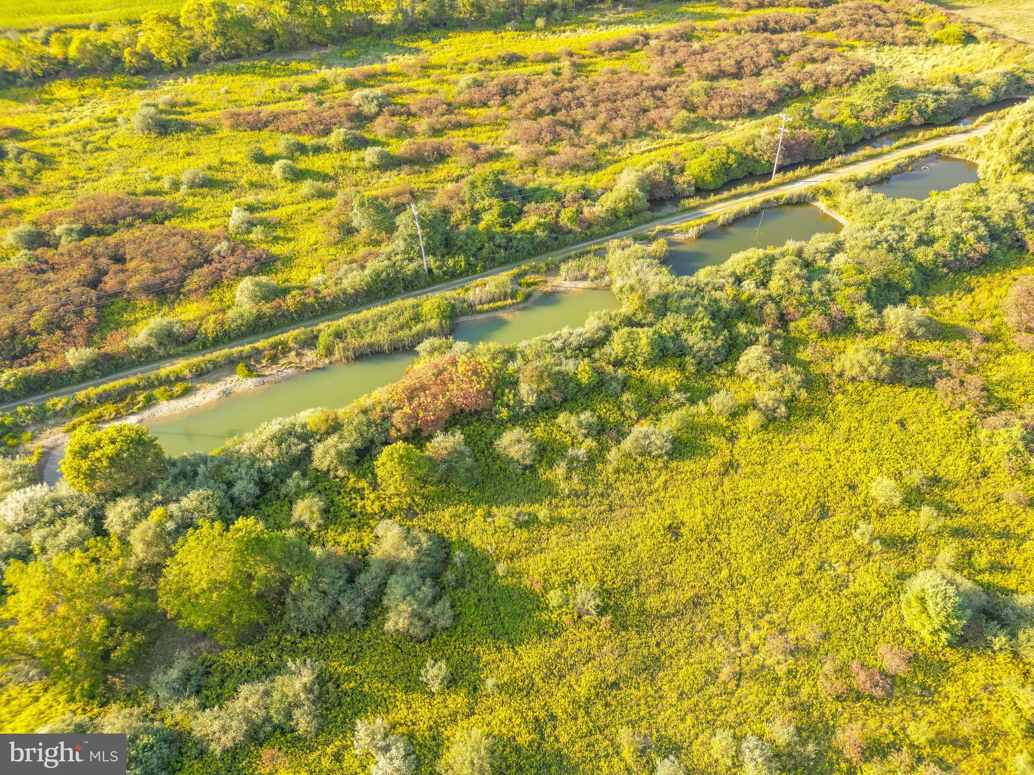 0 Hublersburg Road, Unit ENTIRETY Bellefonte, PA 16823 - Photo 28 of 58 a view of yard with wooden floor