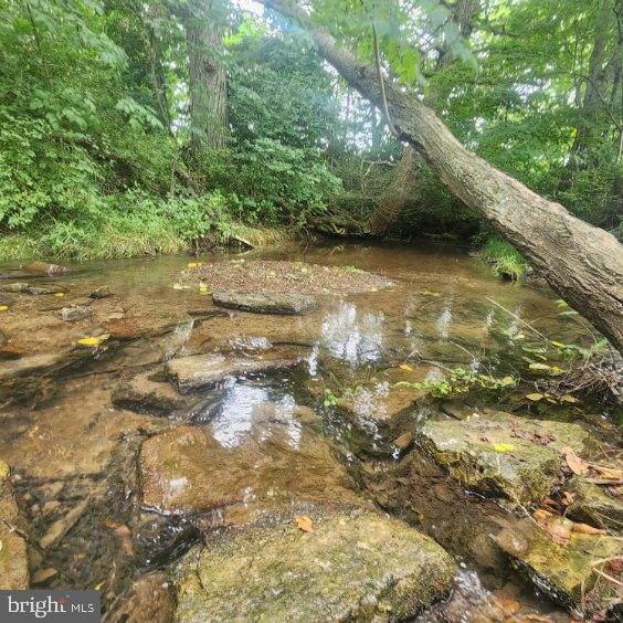 0 Hublersburg Road, Unit ENTIRETY Bellefonte, PA 16823 - Photo 38 of 58 a view of a green yard with large trees
