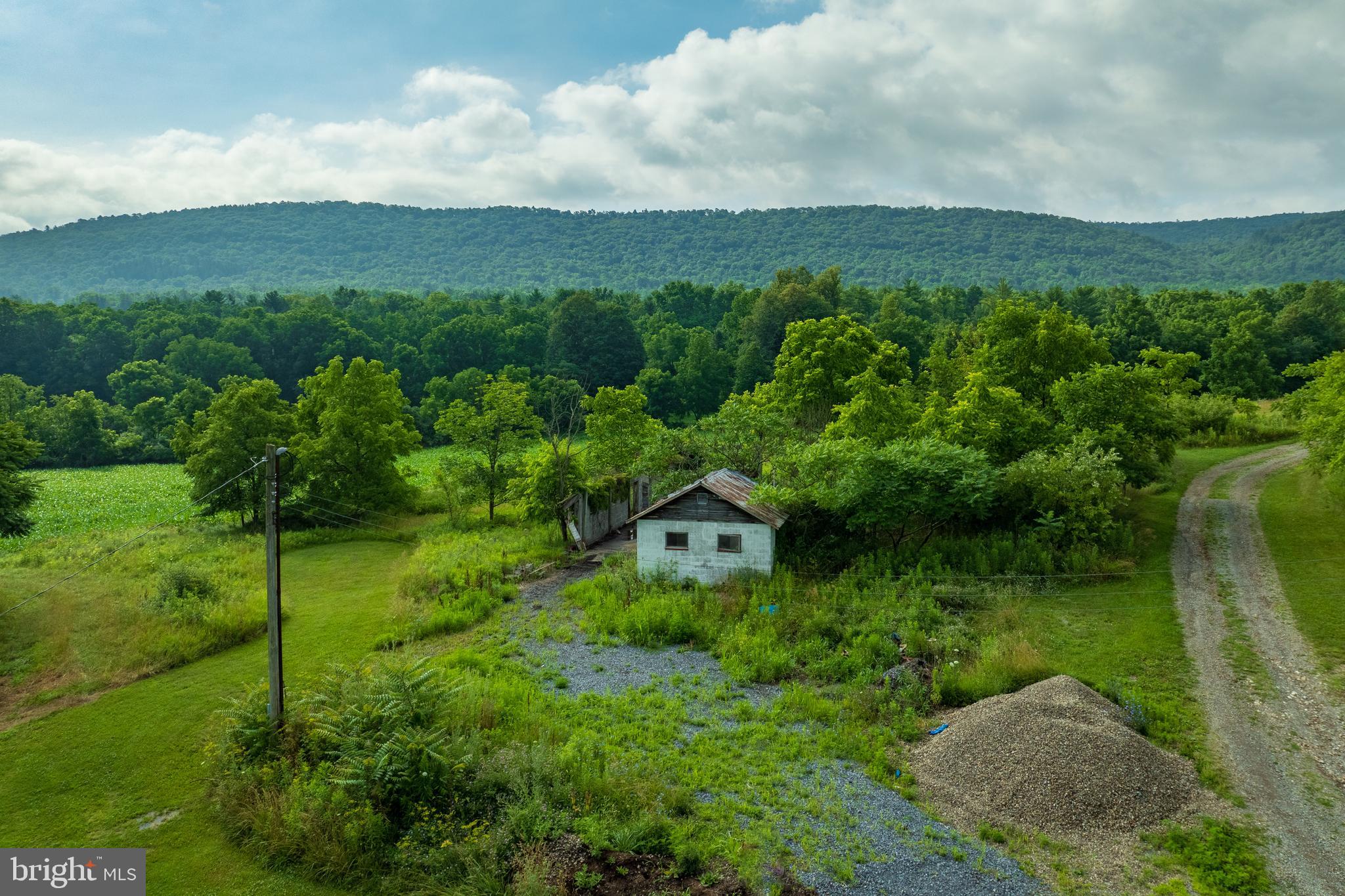 0 Hublersburg Road, Unit ENTIRETY Bellefonte, PA 16823 - Photo 4 of 58 a view of a green field with mountains in the background