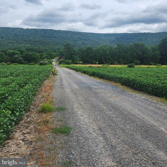 0 Hublersburg Road, Unit ENTIRETY Bellefonte, PA 16823 - Photo 41 of 58 a view of a rural road with plants and trees