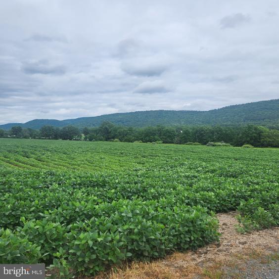 0 Hublersburg Road, Unit ENTIRETY Bellefonte, PA 16823 - Photo 44 of 58 a view of an outdoor space and a yard