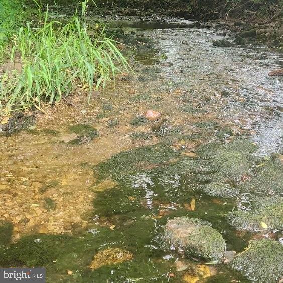 0 Hublersburg Road, Unit ENTIRETY Bellefonte, PA 16823 - Photo 51 of 58 a view of a yard