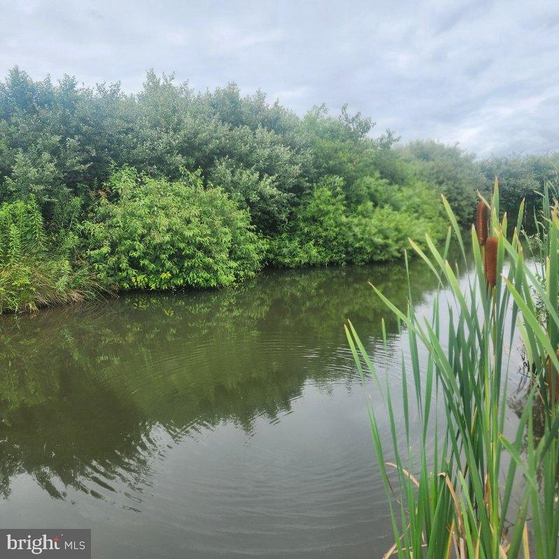 0 Hublersburg Road, Unit ENTIRETY Bellefonte, PA 16823 - Photo 53 of 58 a view of lake