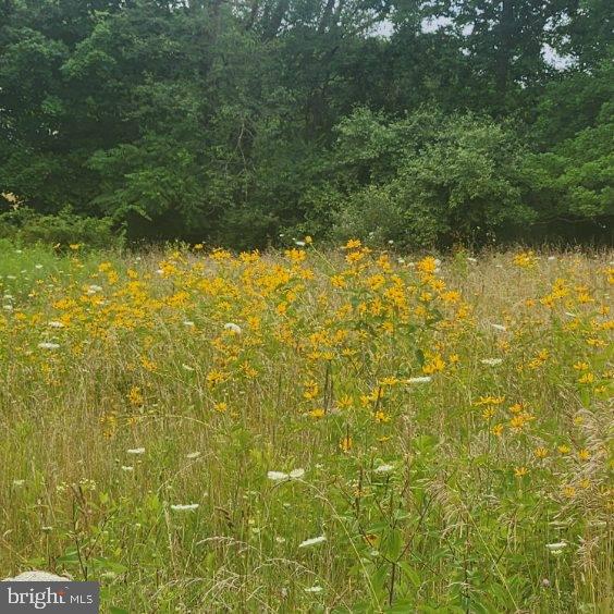 0 Hublersburg Road, Unit ENTIRETY Bellefonte, PA 16823 - Photo 55 of 58