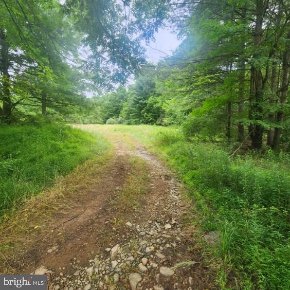0 Hublersburg Road, Unit ENTIRETY Bellefonte, PA 16823 - Photo 57 of 58 a view of yard with green space