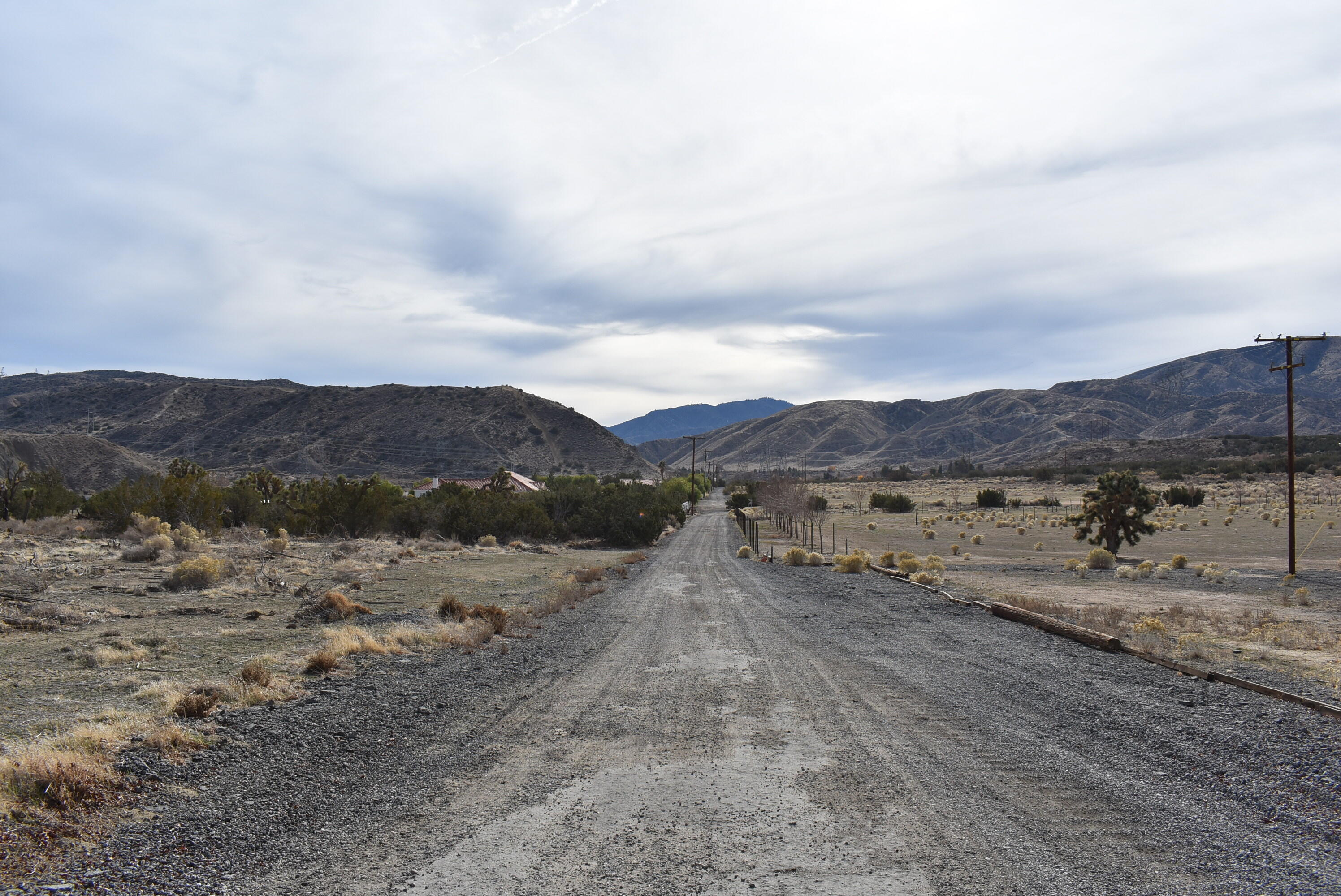 Barrel Springs Palmdale, CA 93552 - Photo 7 of 19 DSC_0731