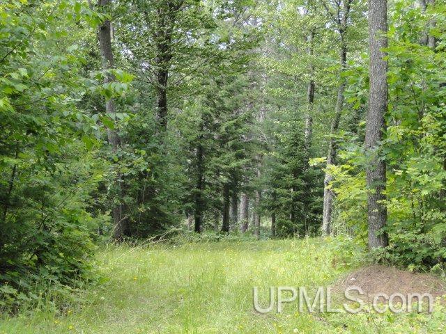 Parcel B Lake Eva Road Toivola, MI 49965 - Photo 9 of 14 Gallery Image 9
